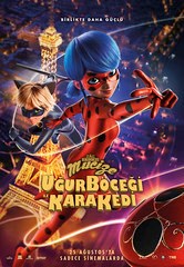 MUCİZE UĞUR BÖCEĞİ VE KARA KEDİ 